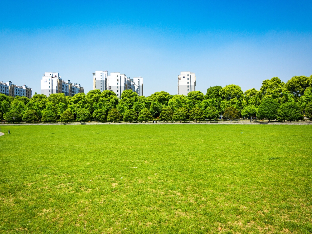 dosiwa-puleun-haneul-jandi