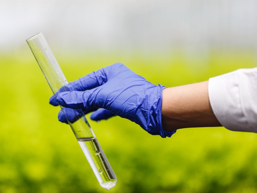 yeonguwon-eun-palan-jang-gab-e-son-eulo-mullo-siheomgwan-eul-boyuhago-issseubnida